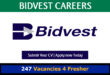 Bidvest Careers