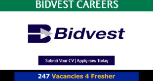 Bidvest Careers