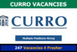 Curro Vacancies