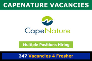 Capenature Vacancies