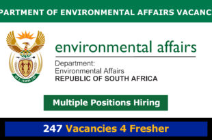 Department of Environmental Affairs Vacancies