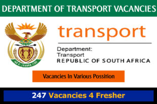 Department of Transport Vacancies