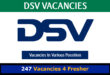 DSV Vacancies