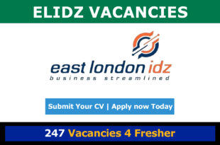 Elidz Vacancies