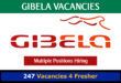 Gibela Vacancies