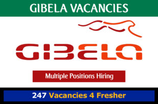 Gibela Vacancies