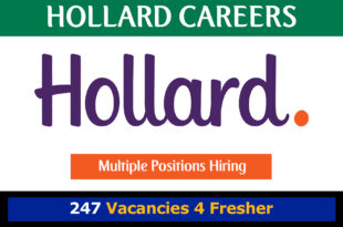 Hollard Careers