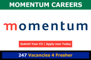 Momentum Careers
