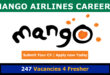 Mango Airlines Careers