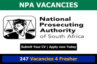 NPA Vacancies