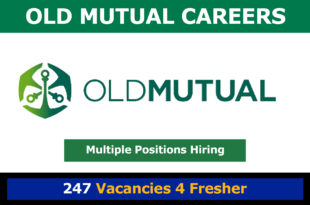 Old Mutual Careers