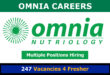 Omnia Careers