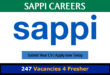 Sappi Careers