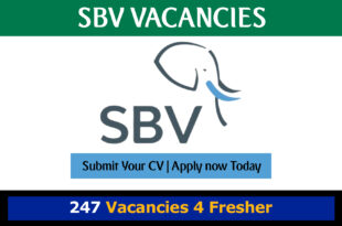 SBV Vacancies
