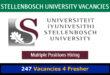 Stellenbosch University Vacancies