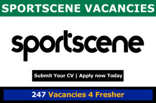 Sportscene Vacancies