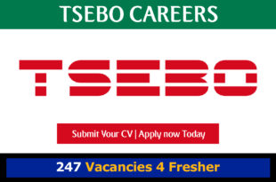 Tsebo Careers