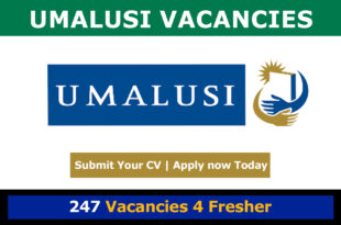 Umalusi Vacancies