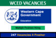 WCED Vacancies