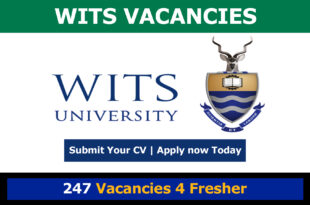 Wits Vacancies